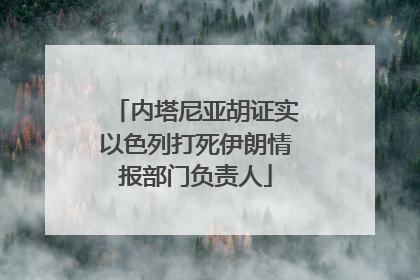 内塔尼亚胡证实以色列打死伊朗情报部门负责人